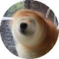 茶备案