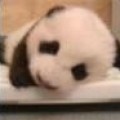 张无计